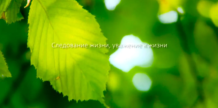 米乐m6集团形象片（русский）