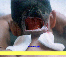 米乐|米乐·M6(中国游)官方网站