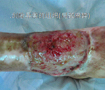 米乐|米乐·M6(中国游)官方网站