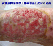 米乐|米乐·M6(中国游)官方网站