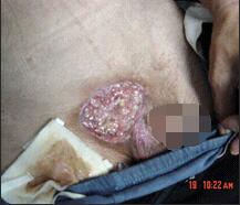 米乐|米乐·M6(中国游)官方网站