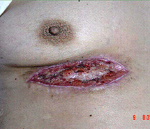 米乐|米乐·M6(中国游)官方网站