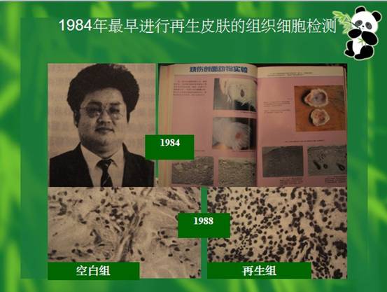 米乐|米乐·M6(中国游)官方网站