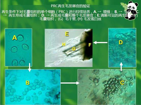米乐|米乐·M6(中国游)官方网站