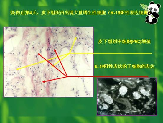 米乐|米乐·M6(中国游)官方网站