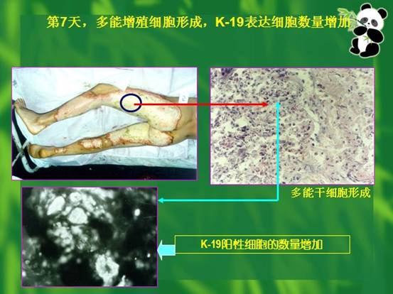 米乐|米乐·M6(中国游)官方网站