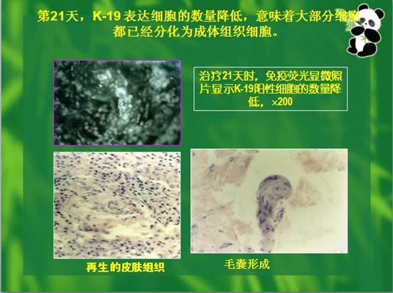 米乐|米乐·M6(中国游)官方网站