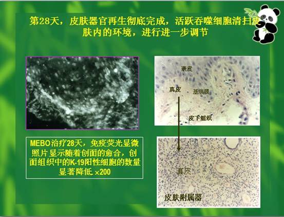 米乐|米乐·M6(中国游)官方网站
