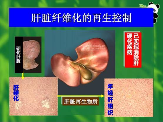 米乐|米乐·M6(中国游)官方网站