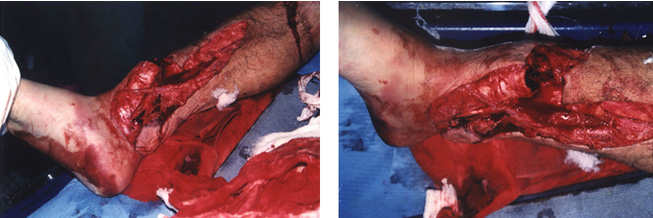 米乐|米乐·M6(中国游)官方网站