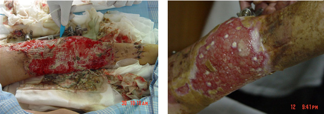米乐|米乐·M6(中国游)官方网站