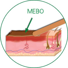 米乐|米乐·M6(中国游)官方网站
