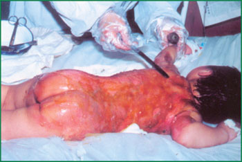 米乐|米乐·M6(中国游)官方网站