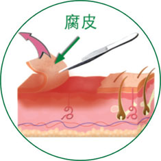 米乐|米乐·M6(中国游)官方网站