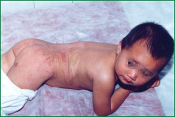 米乐|米乐·M6(中国游)官方网站