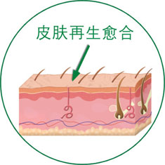 米乐|米乐·M6(中国游)官方网站