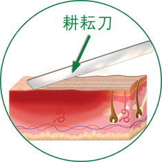 米乐|米乐·M6(中国游)官方网站