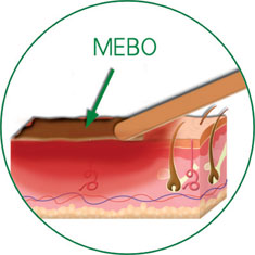 米乐|米乐·M6(中国游)官方网站