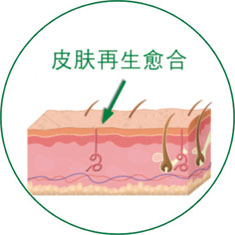 米乐|米乐·M6(中国游)官方网站