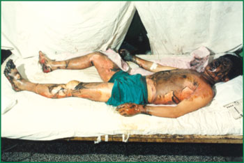 米乐|米乐·M6(中国游)官方网站