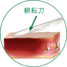 米乐|米乐·M6(中国游)官方网站