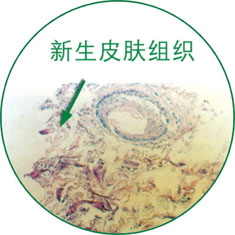 米乐|米乐·M6(中国游)官方网站