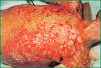 米乐|米乐·M6(中国游)官方网站