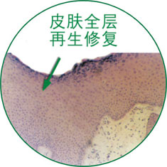 米乐|米乐·M6(中国游)官方网站
