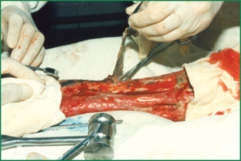 米乐|米乐·M6(中国游)官方网站