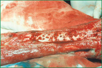 米乐|米乐·M6(中国游)官方网站