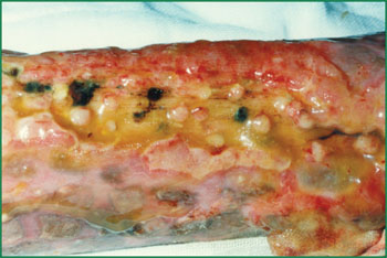 米乐|米乐·M6(中国游)官方网站