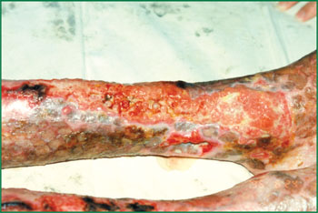 米乐|米乐·M6(中国游)官方网站
