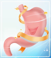 米乐|米乐·M6(中国游)官方网站