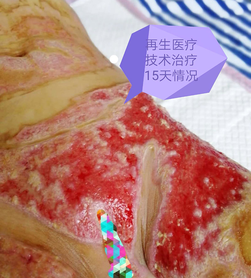 米乐|米乐·M6(中国游)官方网站