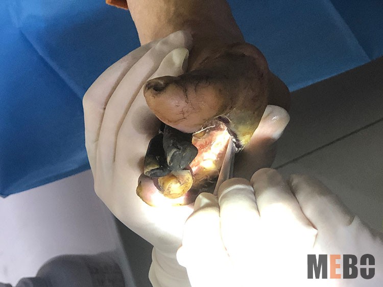 米乐|米乐·M6(中国游)官方网站