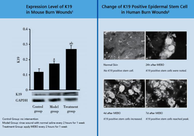 米乐|米乐·M6(中国游)官方网站