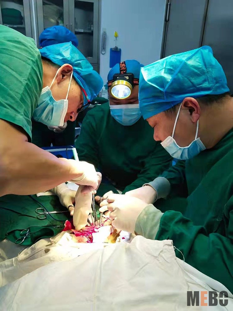 米乐|米乐·M6(中国游)官方网站