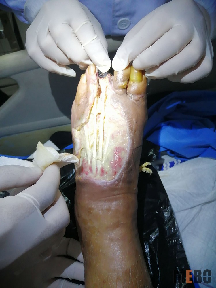 米乐|米乐·M6(中国游)官方网站