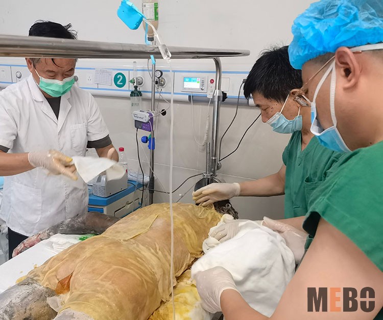 米乐|米乐·M6(中国游)官方网站