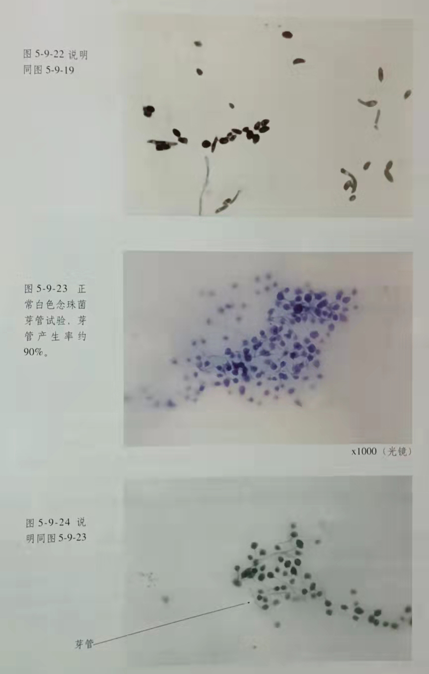 米乐|米乐·M6(中国游)官方网站