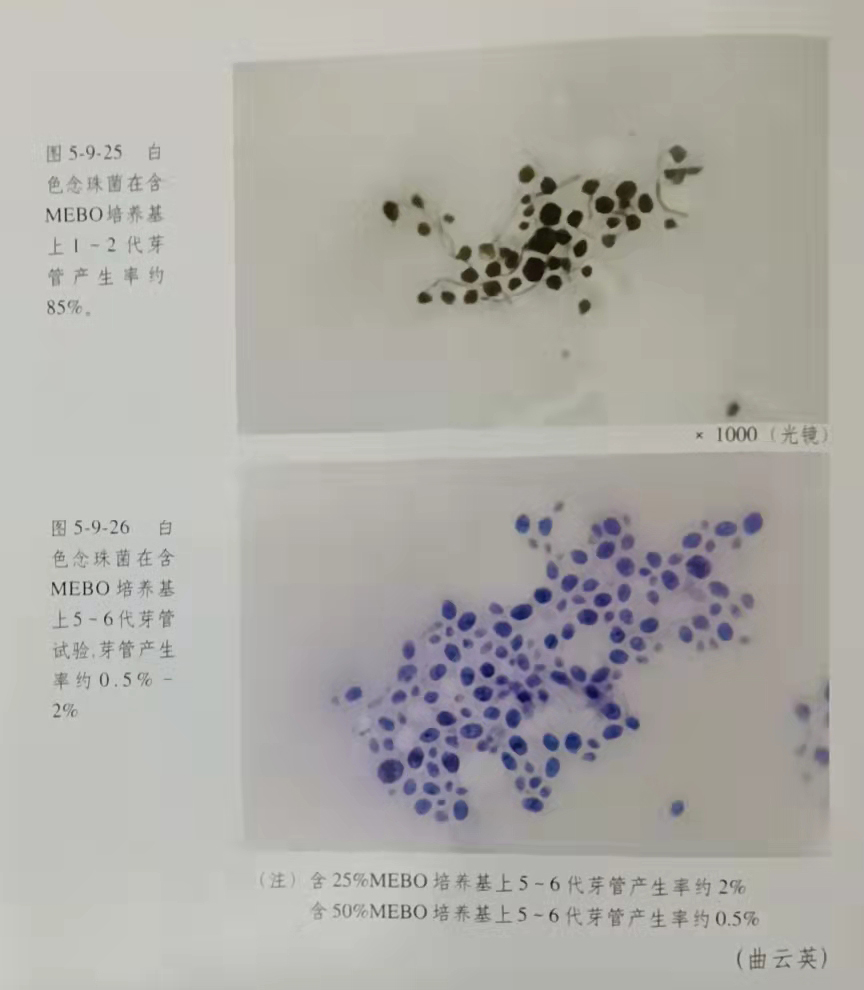 米乐|米乐·M6(中国游)官方网站