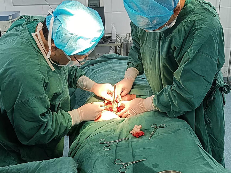 米乐|米乐·M6(中国游)官方网站