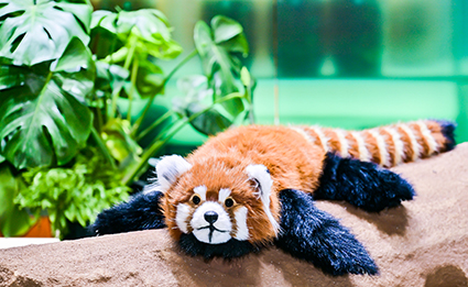 米乐|米乐·M6(中国游)官方网站