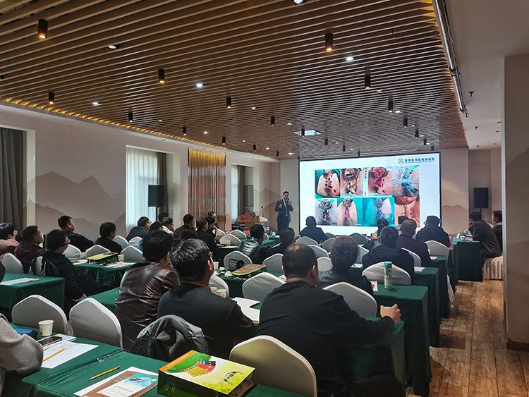 米乐|米乐·M6(中国游)官方网站