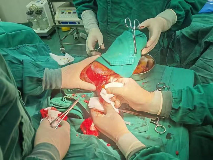 米乐|米乐·M6(中国游)官方网站