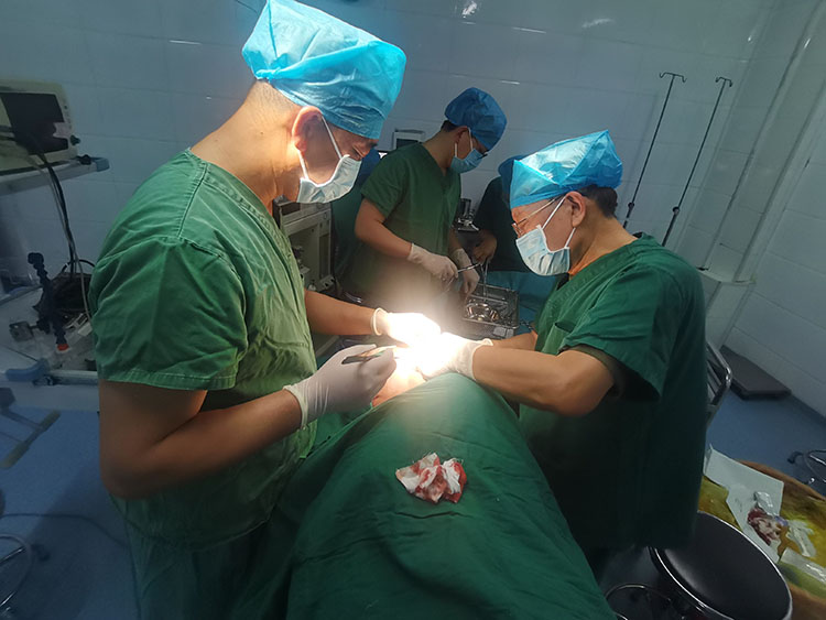 米乐|米乐·M6(中国游)官方网站