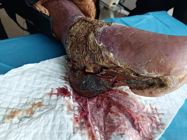 米乐|米乐·M6(中国游)官方网站