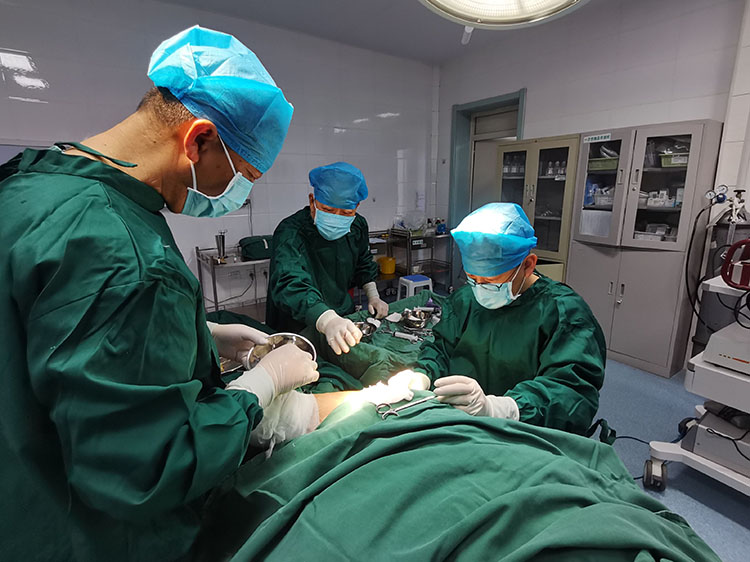 米乐|米乐·M6(中国游)官方网站