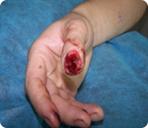 米乐|米乐·M6(中国游)官方网站