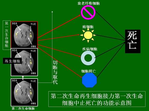 米乐|米乐·M6(中国游)官方网站